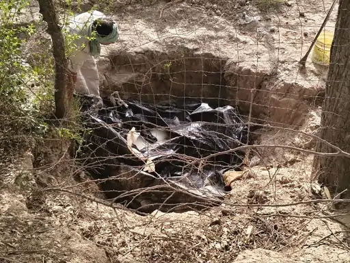 राजस्थान में अवैध शराब कारोबार पर बड़ा एक्शन: 3.17 करोड़ की शराब जब्त, 755 आरोपी गिरफ्तार