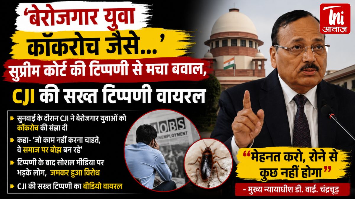 “‘बेरोजगार युवा कॉकरोच जैसे…’ सुप्रीम कोर्ट की टिप्पणी से मचा बवाल, CJI की सख्त टिप्पणी वायरल”