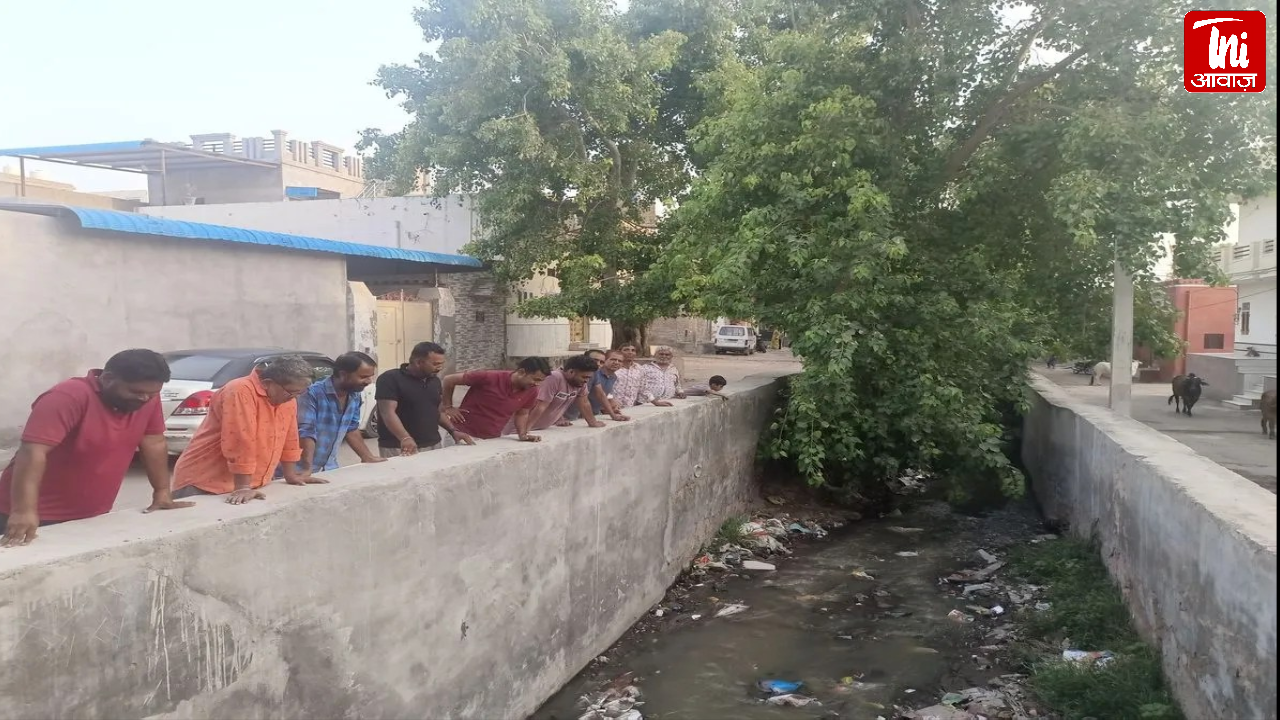गंगाशहर में नाले में उगे पीपल पेड़ बने खतरा, बारिश से बढ़ी चिंता