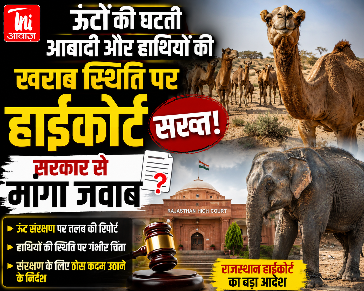 राज्य पशु ऊंट और हाथियों की स्थिति पर हाईकोर्ट सख्त, सरकार से मांगा जवाब
