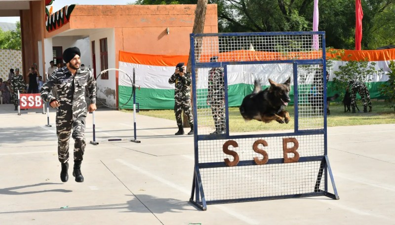 अलवर SSB प्रशिक्षण केंद्र में पासिंग आउट परेड, देशभक्ति और गर्व का दिखा अद्भुत नजारा