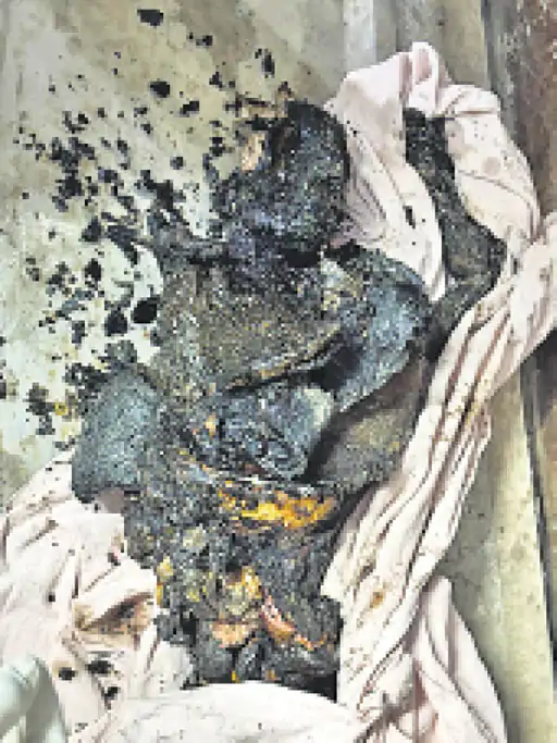 दौसा एक्सप्रेसवे बस हादसा: ट्रोले से टक्कर के बाद बस में आग, 8 यात्रियों की मौत 