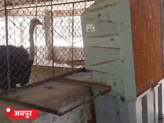 राजस्थान में भीषण गर्मी का कहर, कई जिलों में हीटवेव अलर्ट जारी