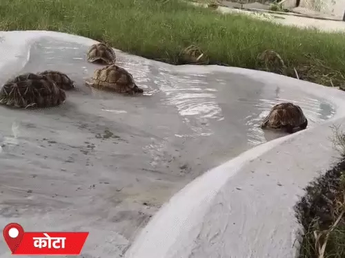 राजस्थान में 12 जिलों में येलो अलर्ट, टोंक में 2 इंच से ज्यादा बारिश