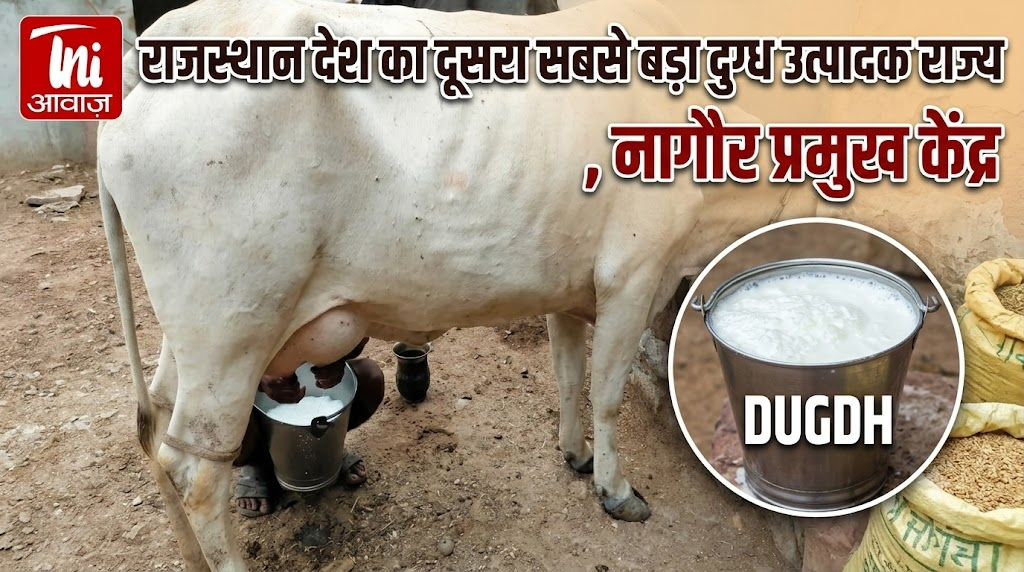 राजस्थान देश का दूसरा सबसे बड़ा दुग्ध उत्पादक राज्य, नागौर प्रमुख केंद्र