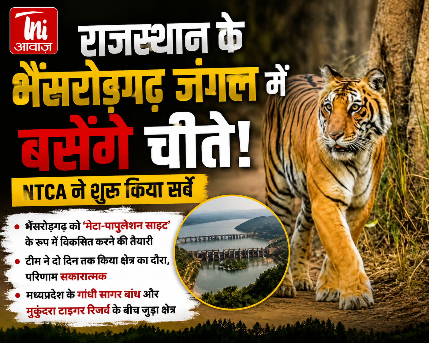 राजस्थान के भैंसरोड़गढ़ जंगल में बसेंगे चीते, NTCA ने शुरू किया सर्वे