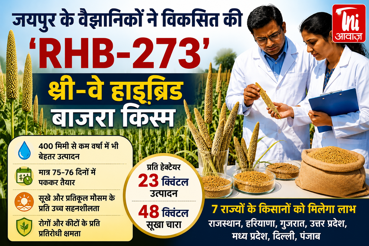 जयपुर के वैज्ञानिकों ने विकसित की 'RHB-273' थ्री-वे हाइब्रिड बाजरा किस्म