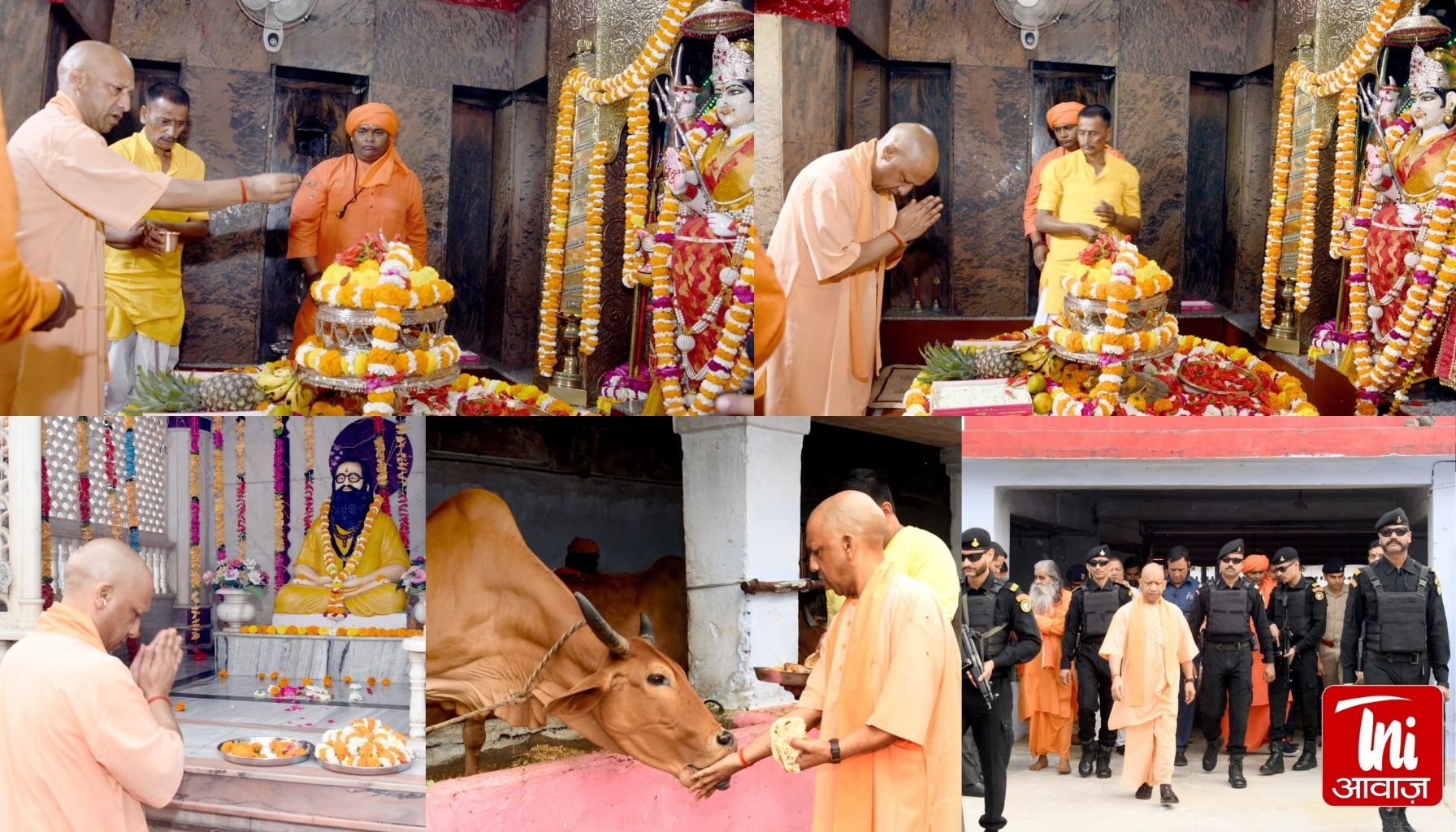 नवरात्रि से पहले मां पाटेश्वरी के दरबार पहुंचे CM योगी! आरती उतारकर मांगी प्रदेश की खुशहाली