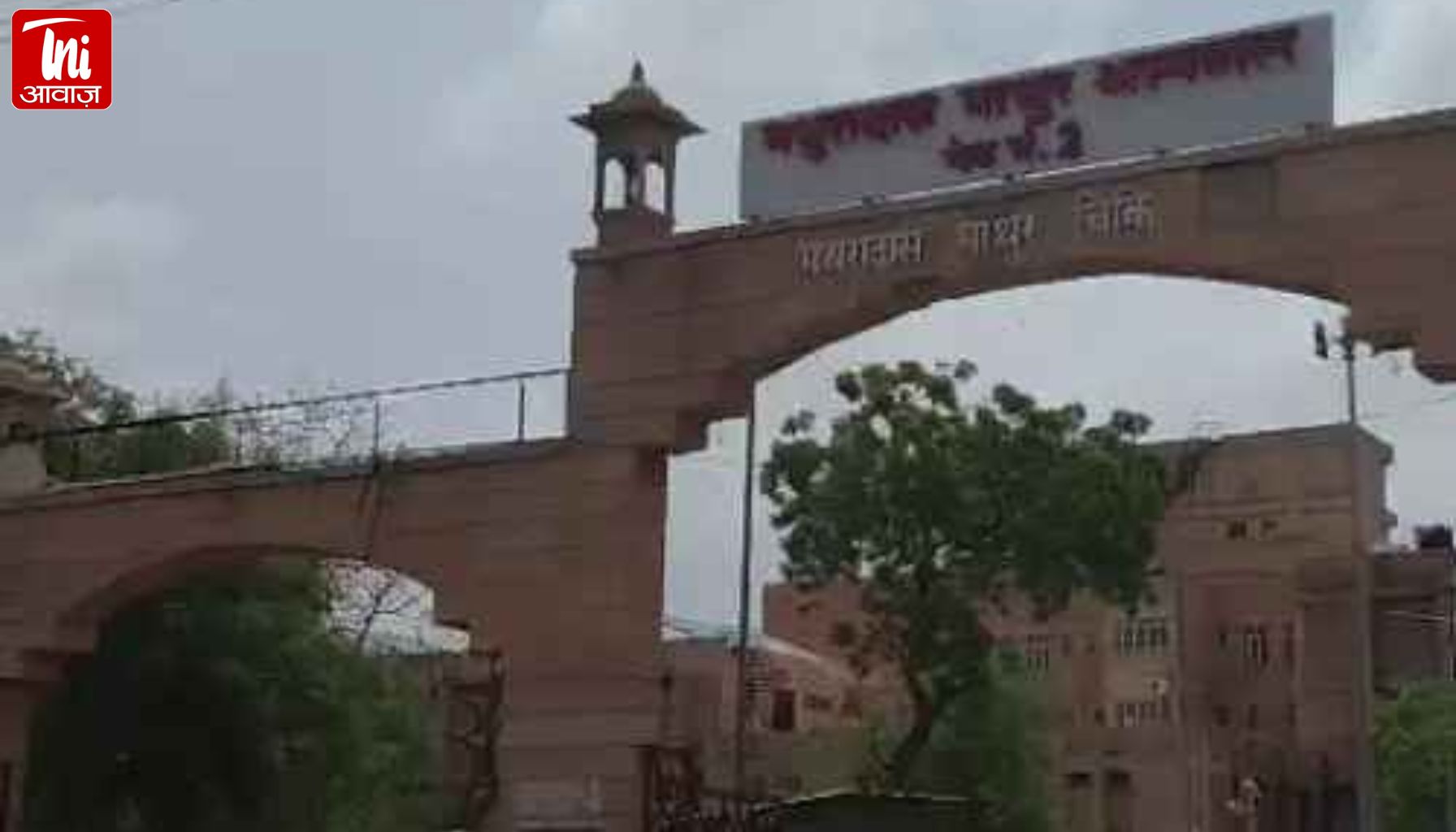 रेजिडेंट डॉक्टर की आत्महत्या के विरोध में SN मेडिकल कॉलेज में पेनडाउन हड़ताल, मरीज बेहाल