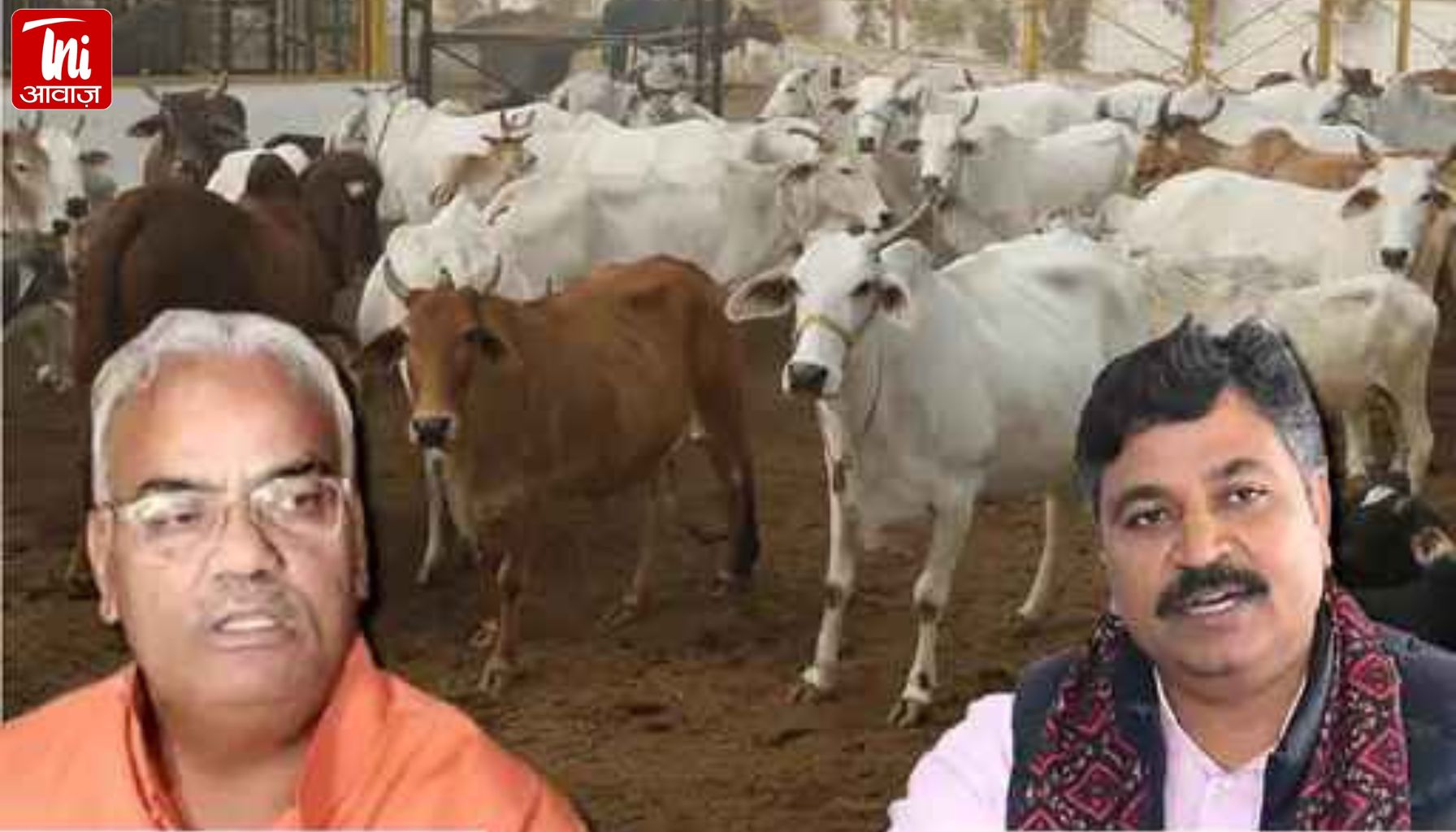 मंत्री मदन दिलावर बोले- मैं गोशालाओं के खिलाफ हूं; नेता प्रतिपक्ष जूली का पलटवार- भाजपा के लिए गोमाता सिर्फ चुनावी हथियार