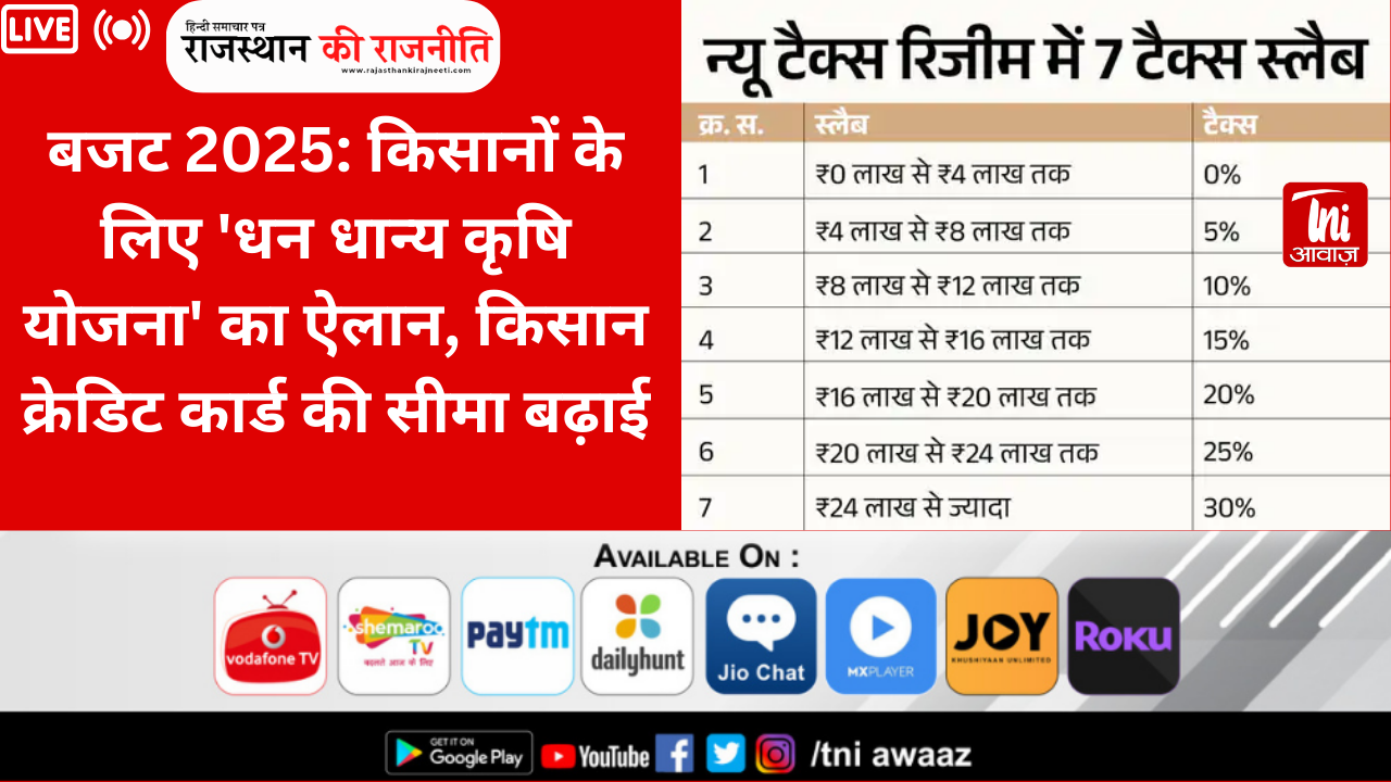 बजट 2025: किसानों के लिए 'धन धान्य कृषि योजना' का ऐलान, किसान क्रेडिट कार्ड की सीमा बढ़ाई