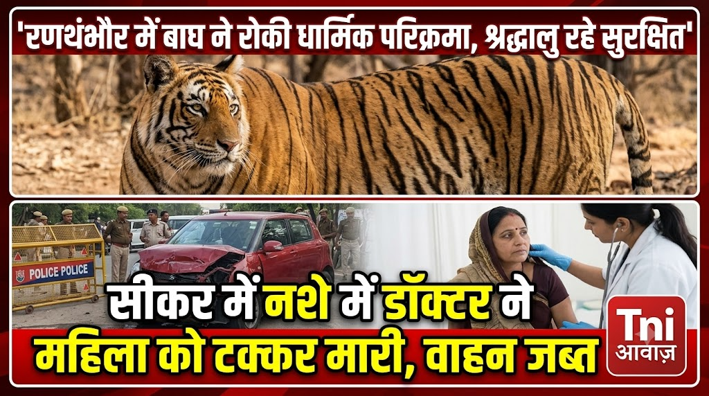 रणथंभौर में बाघ ने रोकी धार्मिक परिक्रमा, श्रद्धालु रहे सुरक्षित