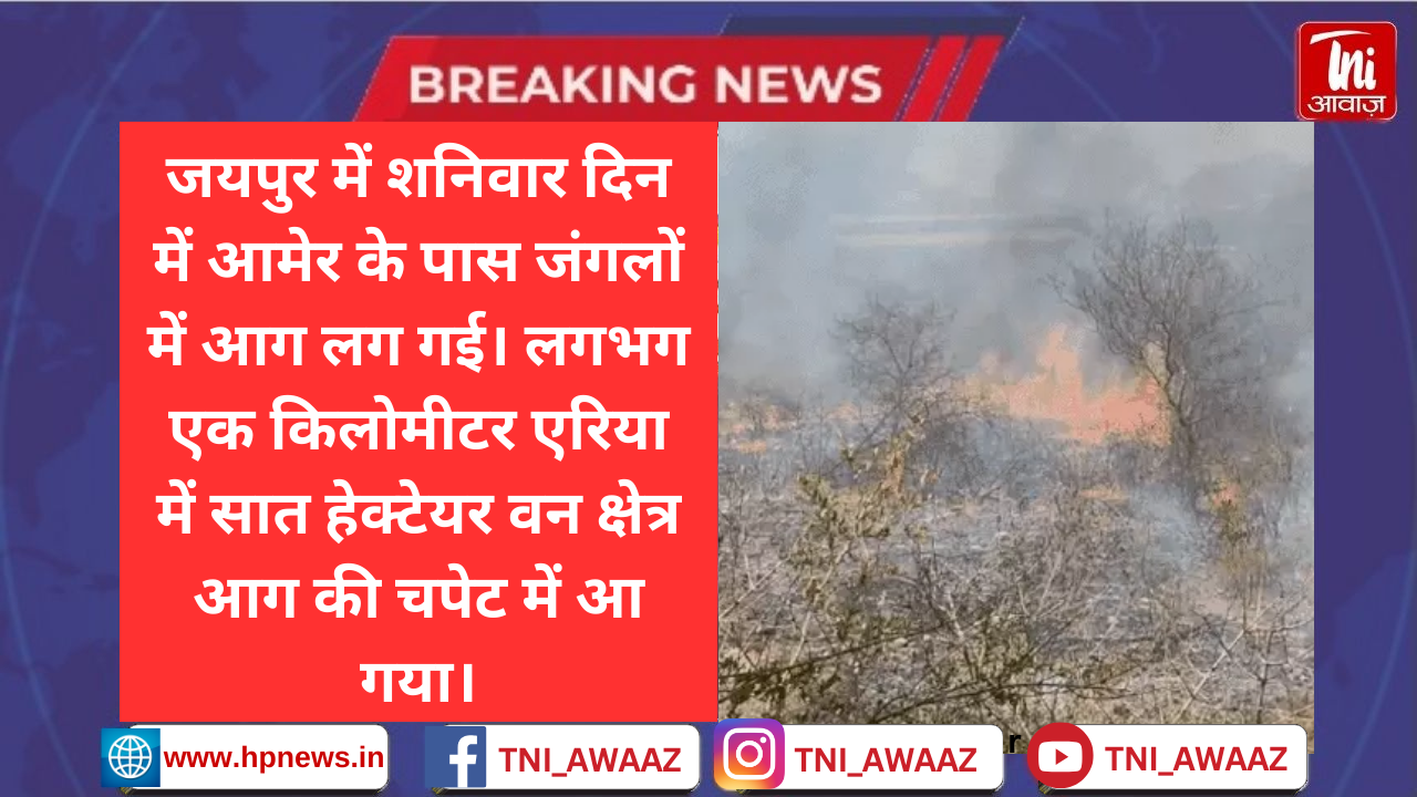 आमेर के जंगलों में लगी भीषण आग: हवा के कारण एक किलोमीटर के एरिया में फैली, पेड़ो-पौधे जलकर राख हुए