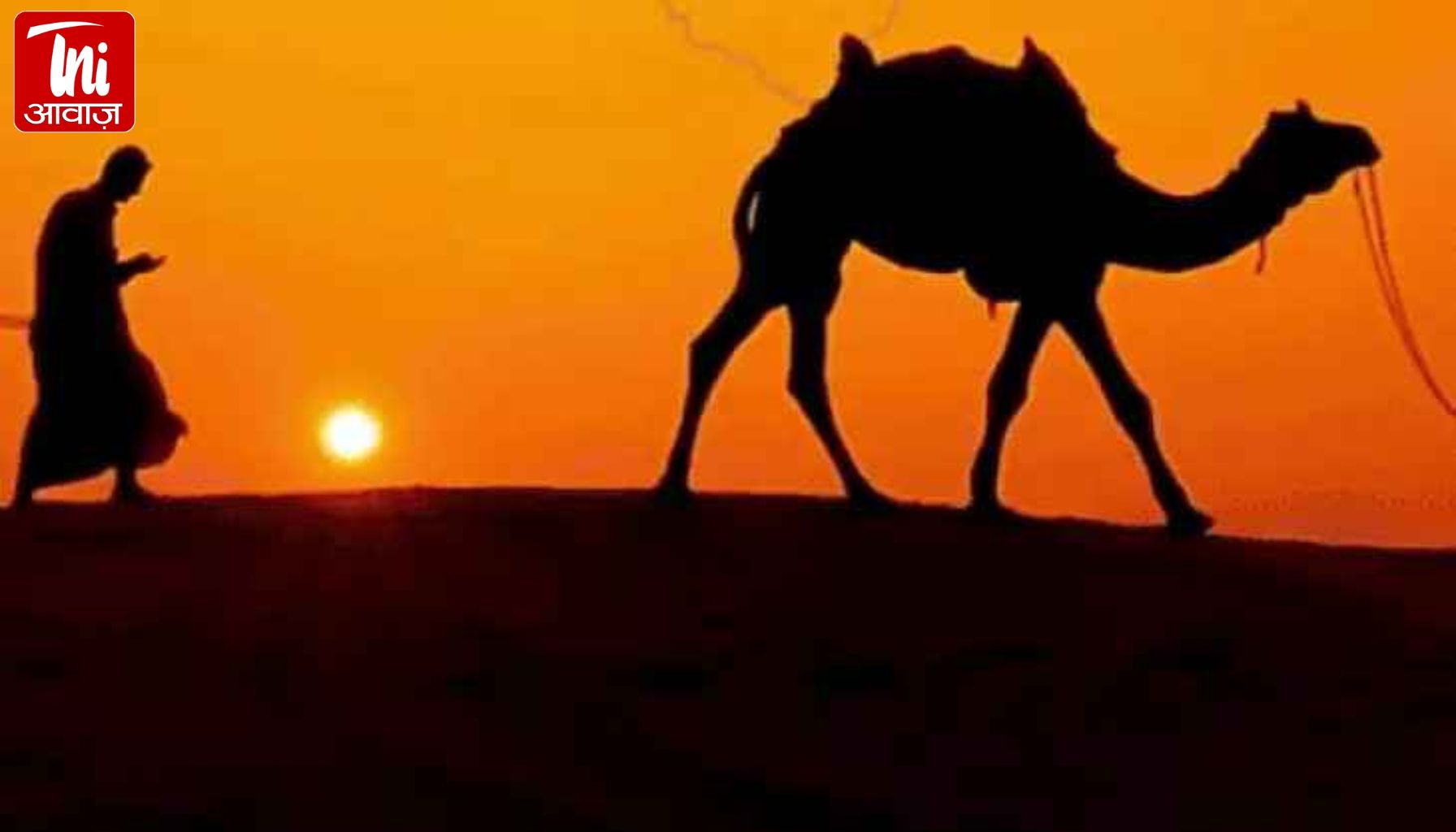 राजस्थान दिवस पर 6 दिन तक जश्न! जयपुर समेत पूरे प्रदेश में लोककला, संगीत और नाटकों की धूम