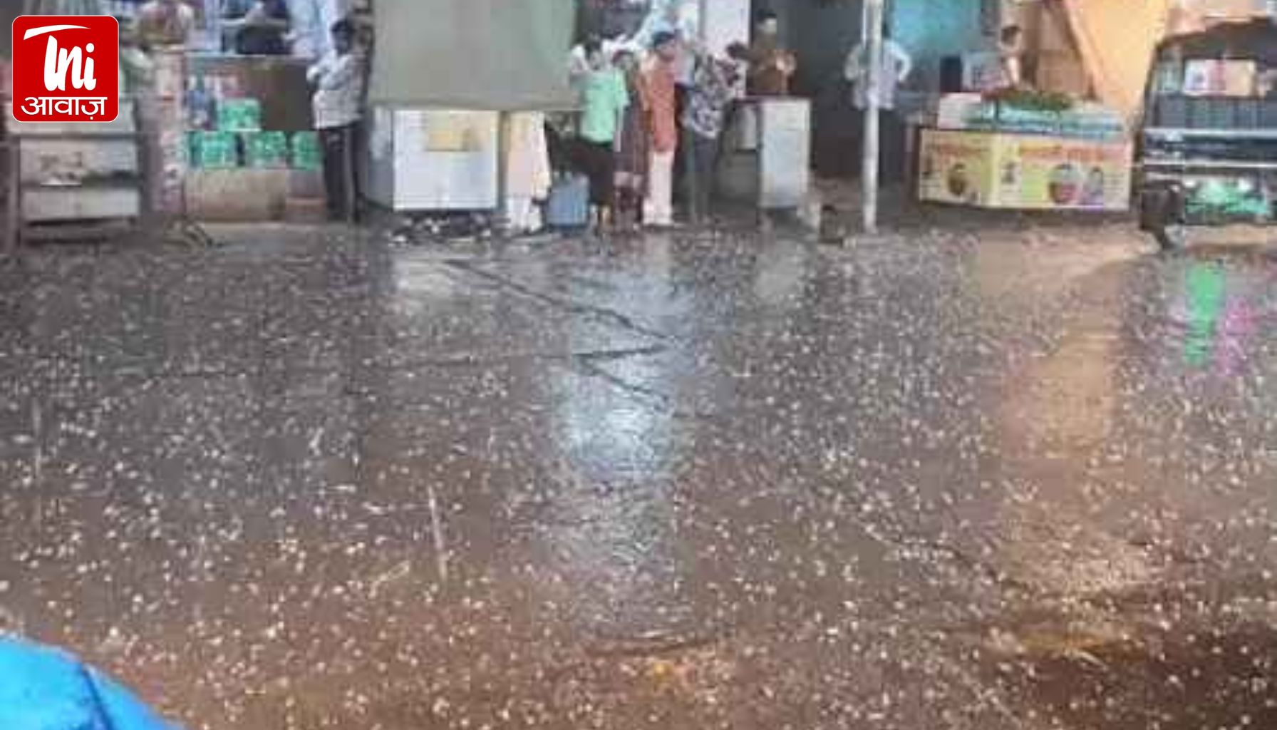 दौसा में 40 मिनट का मौसम कहर: ओलों की सफेद चादर, हाईवे पर फंसे विधायक; पेड़-खंभे गिरे