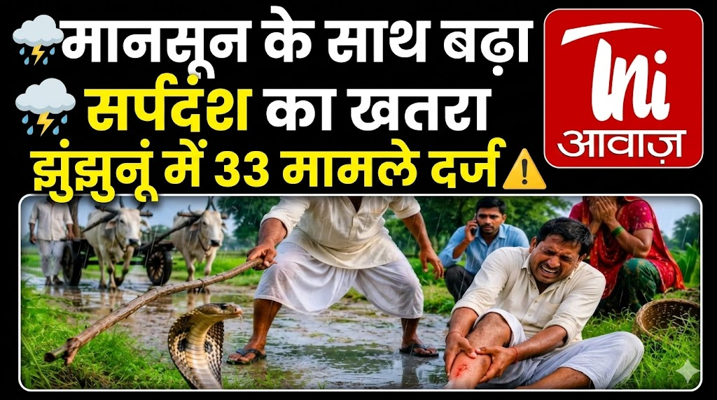 मानसून के साथ बढ़ा सर्पदंश का खतरा, झुंझुनूं में 33 मामले दर्ज
