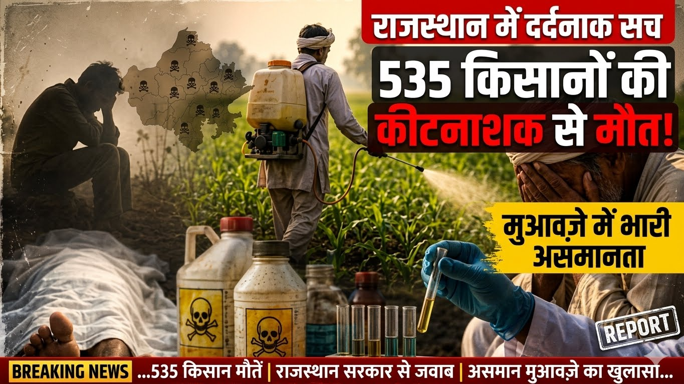 .राजस्थान में कीटनाशक संपर्क से 535 किसानों की मौत, मुआवजे में भारी असमानता